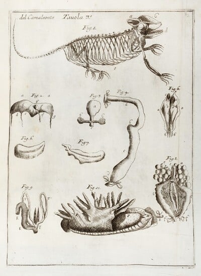 Una data di oggi: 18 Gennaio 1730.