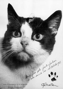 Una data di oggi: 18 Ottobre 1963.